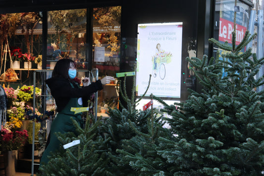 Après un sapin solidaire, le sapin recyclé !
