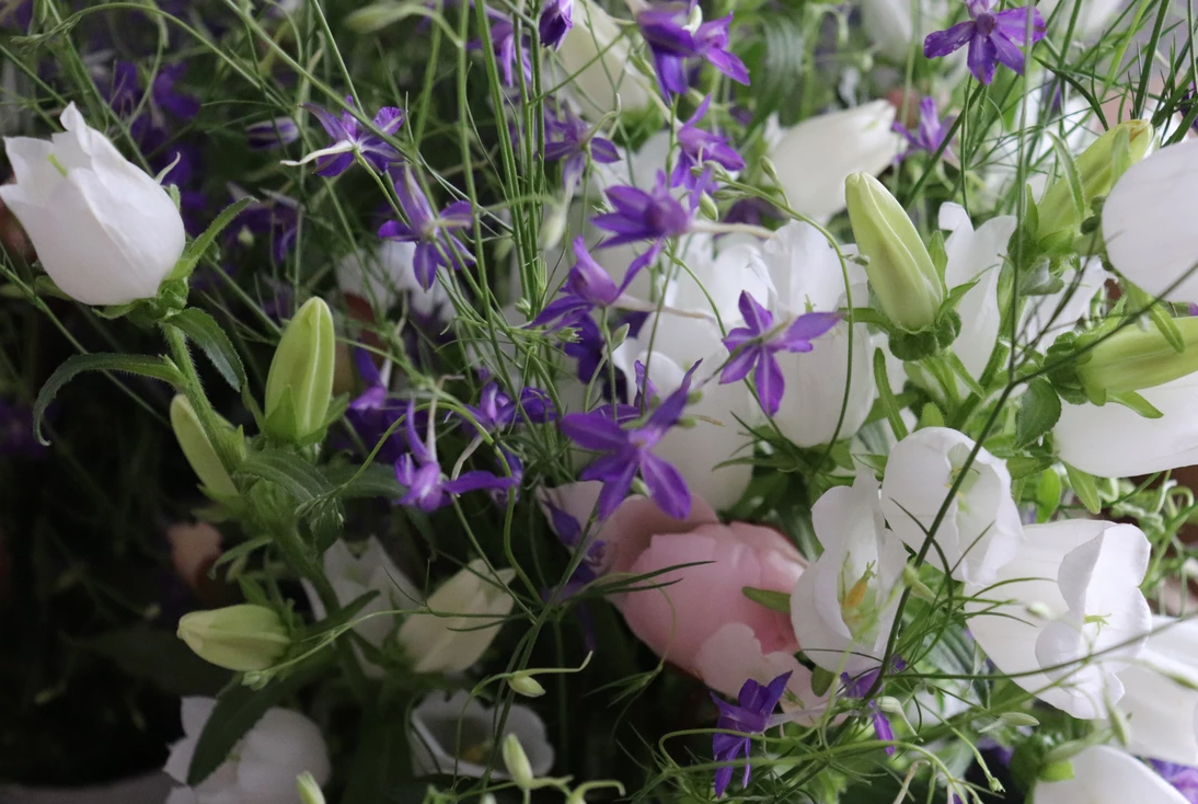 Fleurs françaises et de saison blanches et violettes du Pain & des Roses