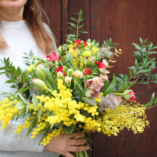 Le Mimosa : Une Fleur de Saison et un symbole féministe