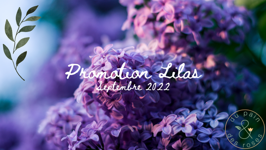 Premières semaines de cours pour la promotion Lilas