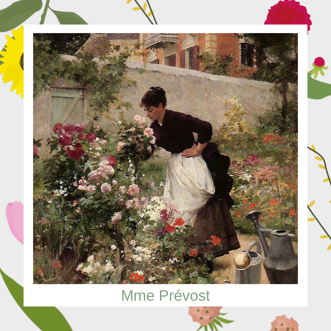 Mme Prévost et L’Histoire du métier de fleuriste 💐