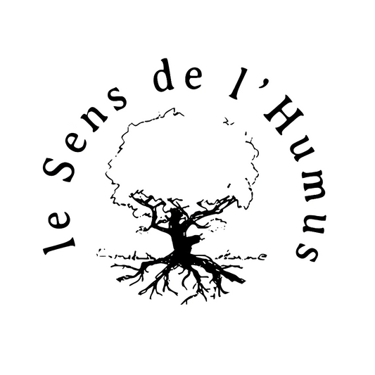 Visite au Sens de l'humus avec la promo Mimosa 🌼