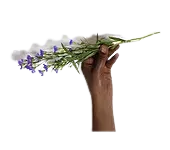 fleur main du pain et des roses social éthique écologique fleurs de saison bouquet écologique